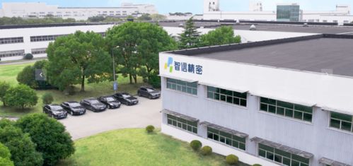 以蘋果為生的技術(shù)服務(wù)公司